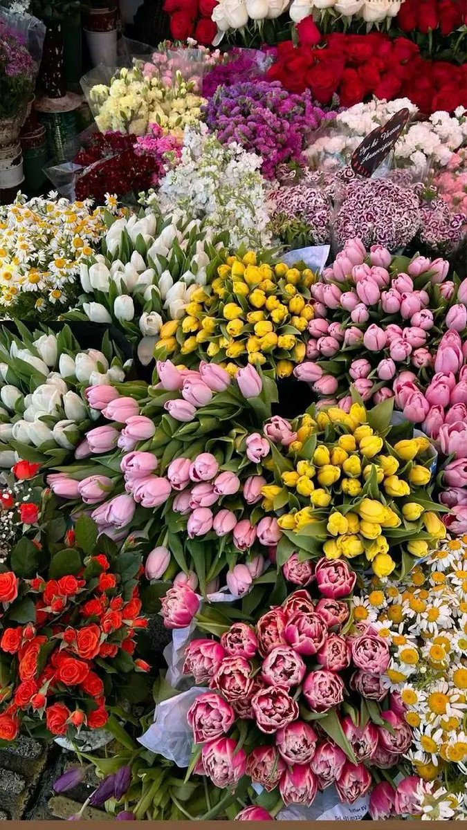 phollukidukaan's tweet image. 