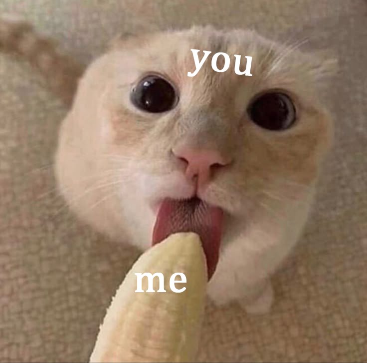 feelindiary's tweet image. 