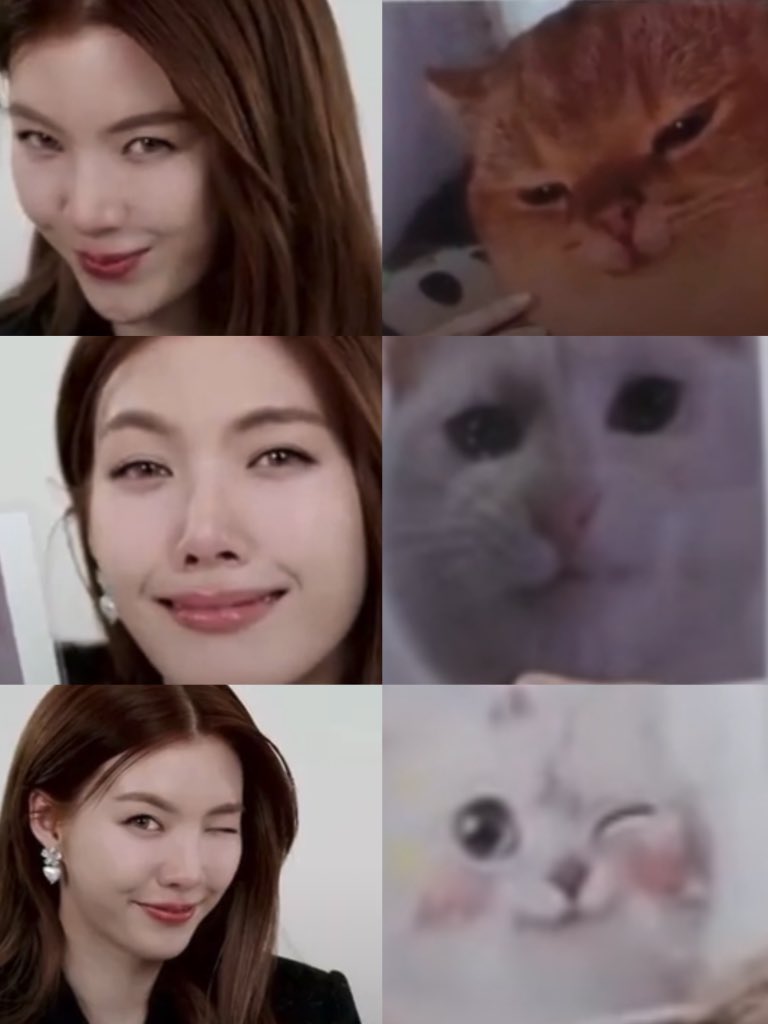 KMayaKwangbae's tweet image. ออมเหมียว แมวดื้อไหมค๊าบ

ORMKORN BA BLOSSOMIN 
#BlossominOrmTouchOfBloom