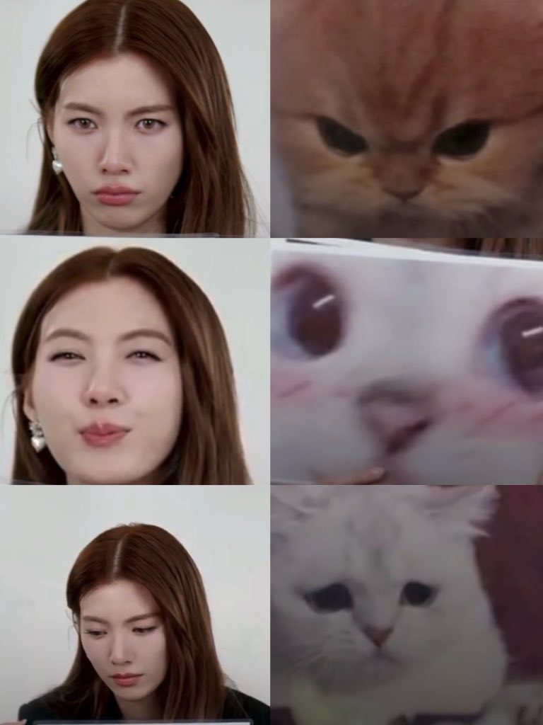 KMayaKwangbae's tweet image. ออมเหมียว แมวดื้อไหมค๊าบ

ORMKORN BA BLOSSOMIN 
#BlossominOrmTouchOfBloom