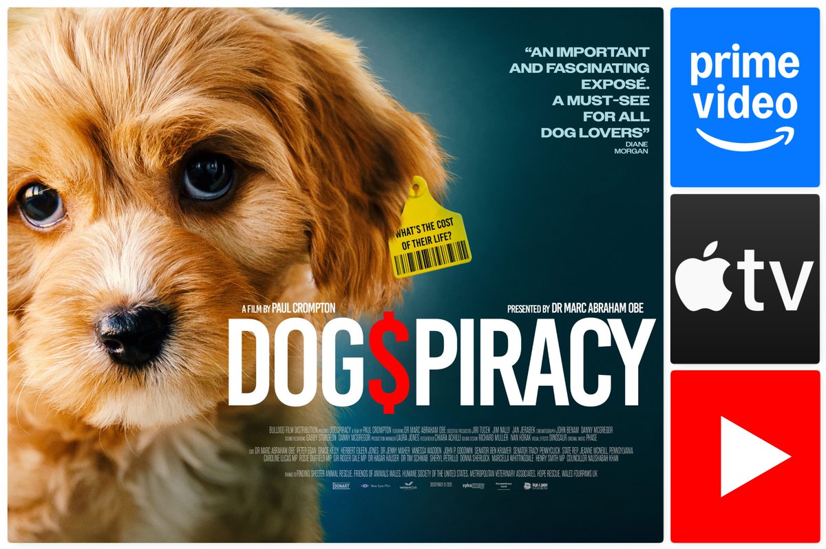 marcthevet's tweet photo. ANIMAL LOVERS: This festive season, if you've not watched it yet, check out movie #Dogspiracy, looking at puppy mills, rescue dogs &amp; behind the scenes look at campaigning. Now available to stream on @primevideouk, @AppleTV &amp; @YouTube. More: https://t.co/2H0vH8weLj #AnimalWelfare https://t.co/753BBhi5Hn