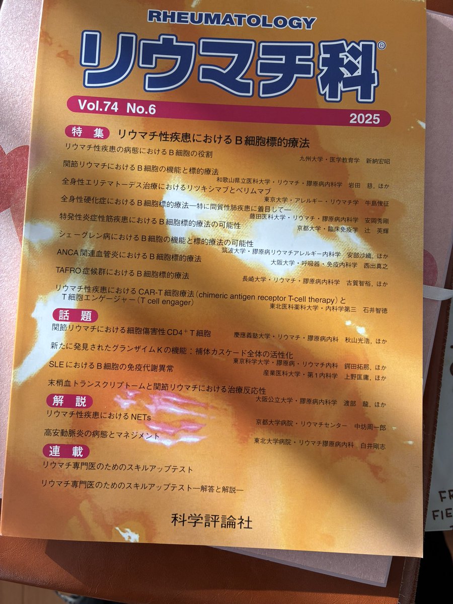 Fundraiser by Carlee Wolcott : Send Team Japan to the World Cup, image size:900x1200