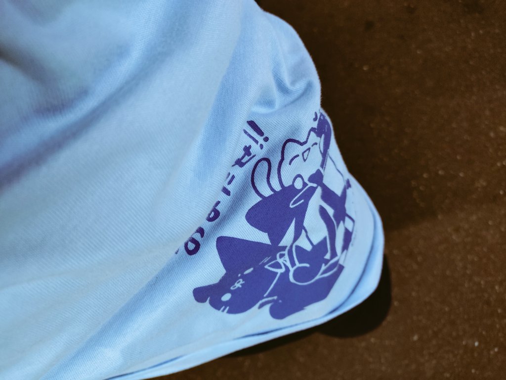 K2 #ぽ信 #観測者 ✂️🍊🐈⁉️ tweet media