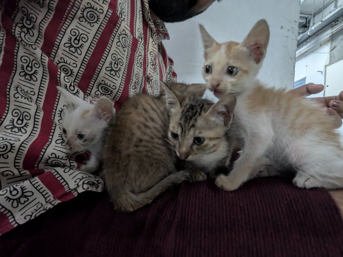 got visitors at IIT today