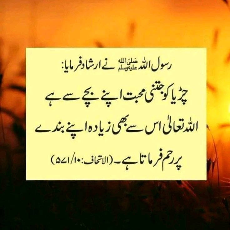 اللہ تعالیٰ کی اپنے بندوں سے محبت 👇🏻