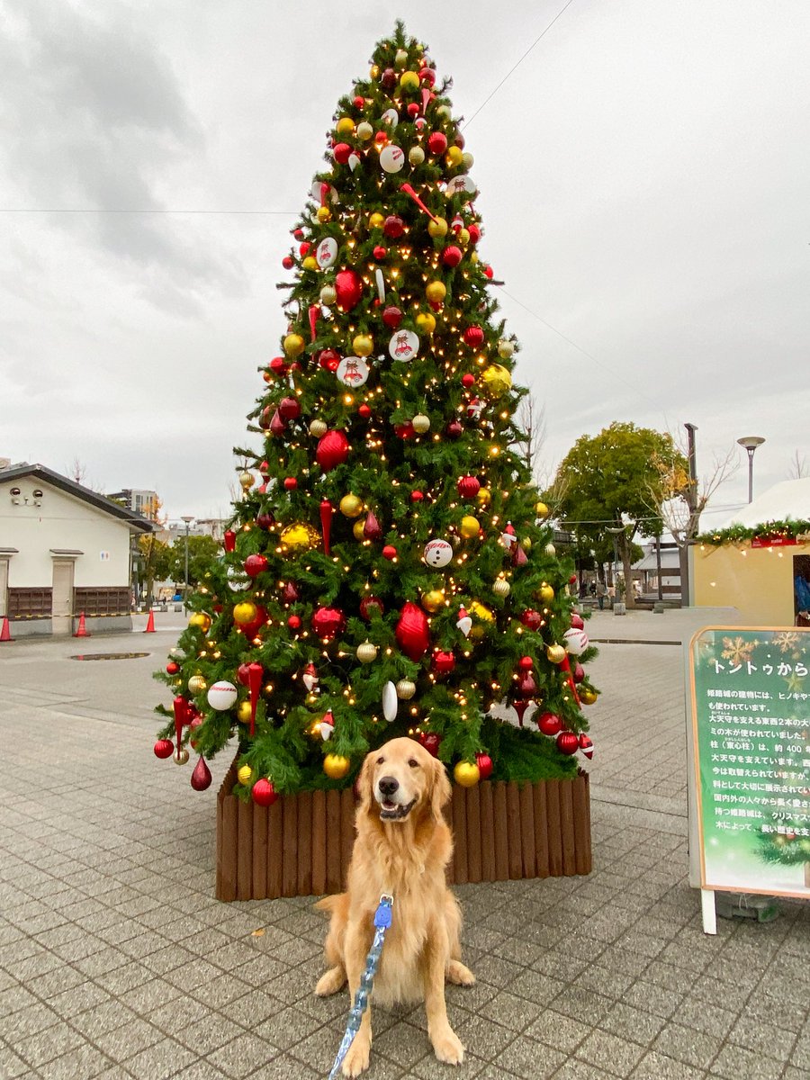 いつきまる⭐️まとめ売り 12月6日（土）～8日（月）元祖79円均一セール