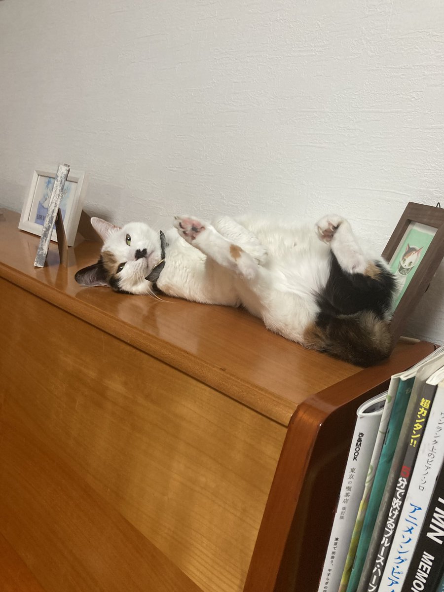 café Mo.free (@cafe_mofree) on Twitter photo 