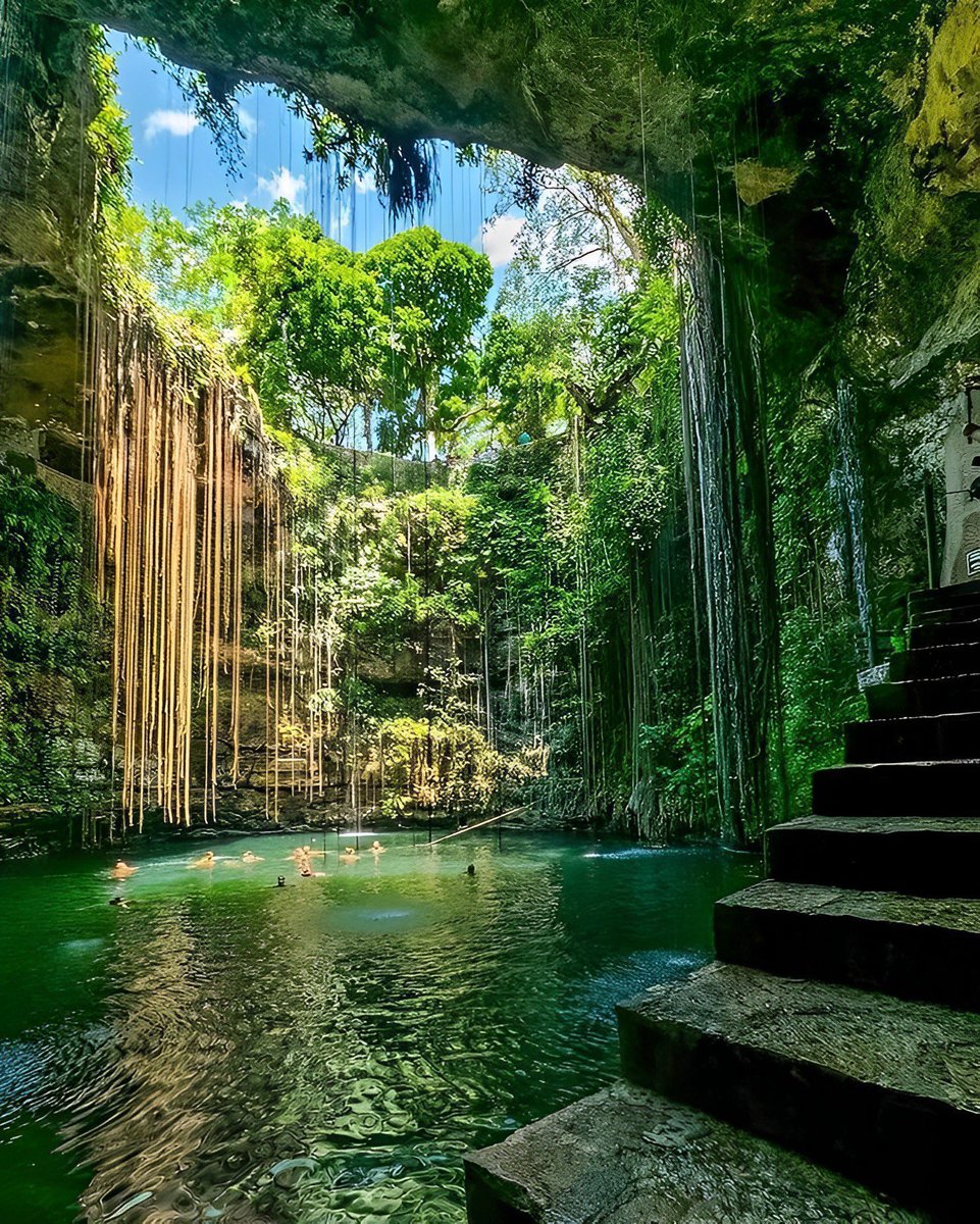 INTERIORPORN1's tweet image. This is so therapeutic 🍃