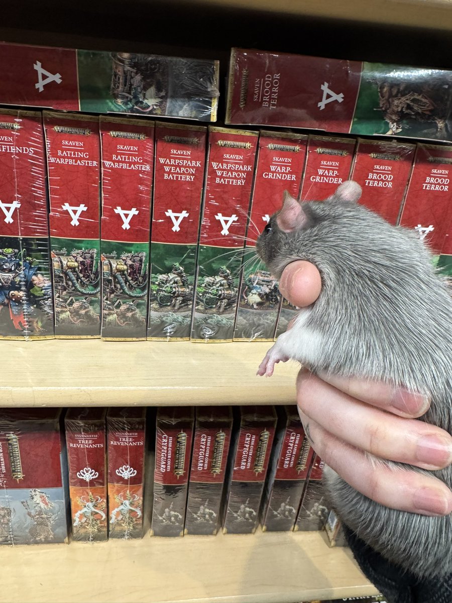 RatsPicnic's tweet image. 