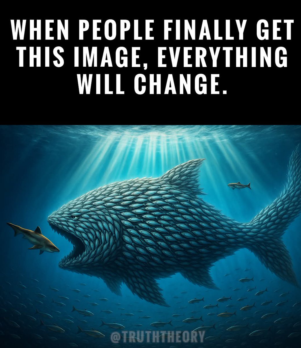 Snowdrop ꨄ︎ tweet media