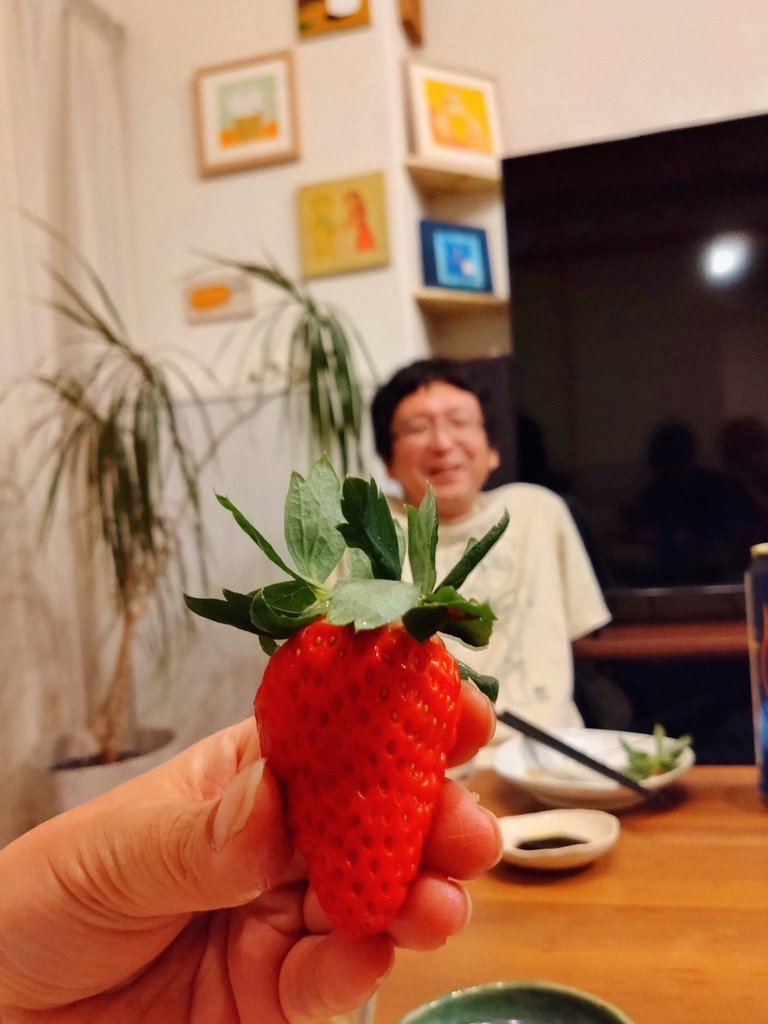 寝起きのいちごと吉田さん