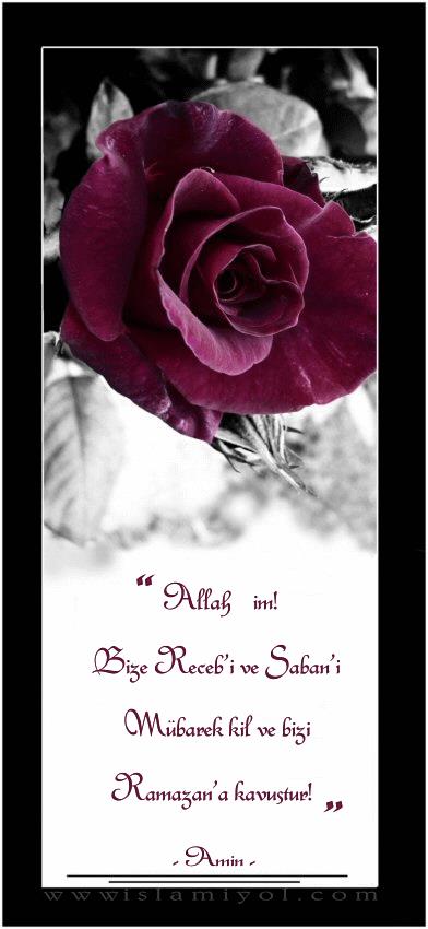 facebook.com/notes/10157704…