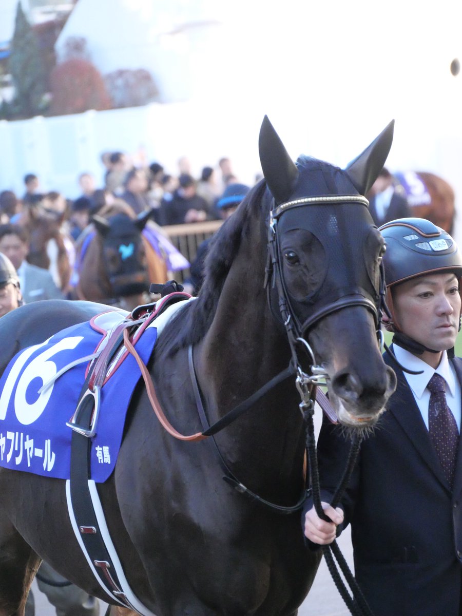 【たまこ】オーダーページ たまこ (@egg24k) / Posts / X