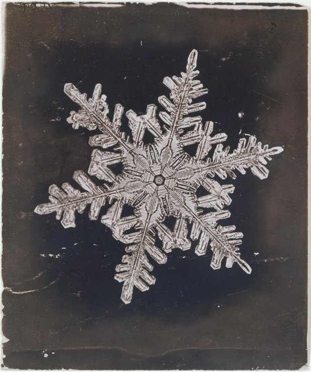 metmuseum's tweet image. Happy first day of winter! ❄️ 

Photographer Wilson Alwyn Bentley was a pioneer in photomicrography and the first person to photograph a single snowflake using a microscope fitted to a bellows camera.  

For over half a century, he documented endless snow crystals, revealing the…
