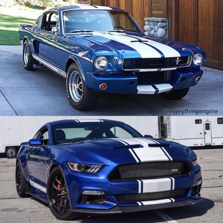 Vintage Cars Collection tweet media