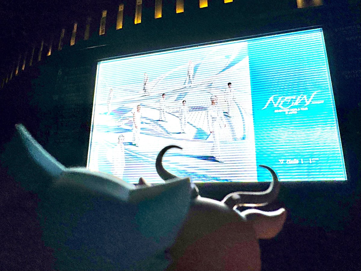 オレンジ🍊BEASTARS & Trigun Stargaze tweet media
