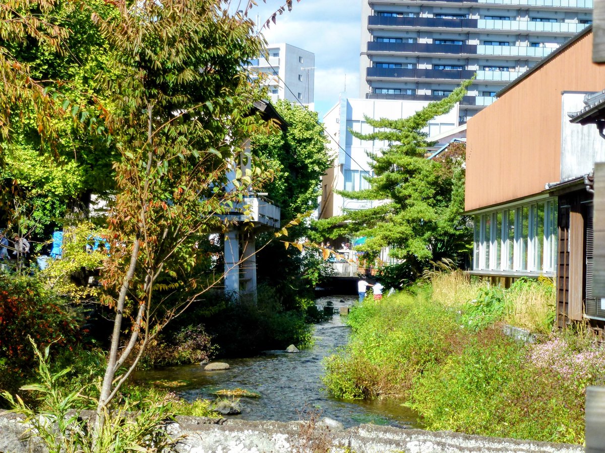 pede_deck's tweet image. 街中の清流いいものだ