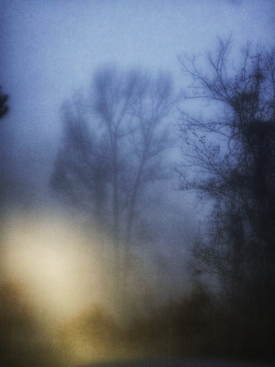 S.A. Franco tweet media