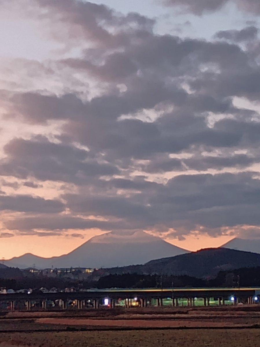 それでは またしばらくは・・・ おやすみなさい(._.)