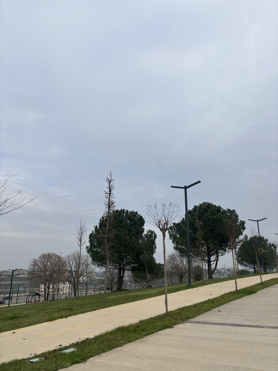 It’s full Sunday mode 
I don’t feel like doing anything at all.