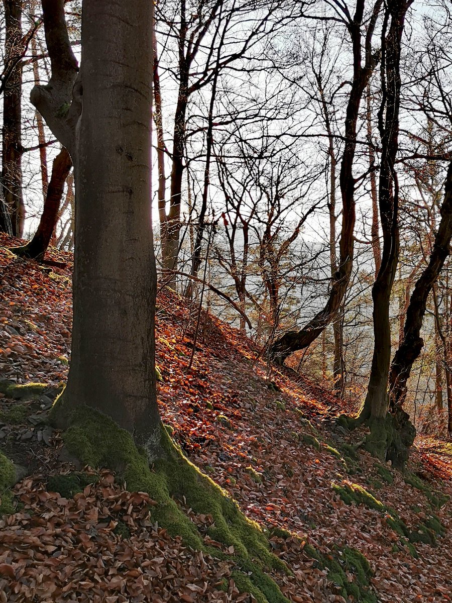 Radon ist ein Bestandteil der Natur. Doch Natürlichkeit bedeutet nicht Harmlosigkeit. Nach dem Rauchen ist Radon die häufigste Ursache für Lungenkrebs.
Sicherheit entsteht aus Bewusstsein und Messung.
#Radon #Radonmessung #Radonmessgerät #Lungenkrebs