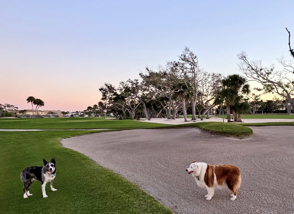 turfmonkeyboy's tweet image. Not a big trinket guy so just got around to opening my gift bag from @golfdom Summit'25. I found the dog calendar. The back page is pictured below. The quote from @NCSUTURF about Pinki made me very emotional. I am so very blessed on so many levels and Team 10 is a huge part of…