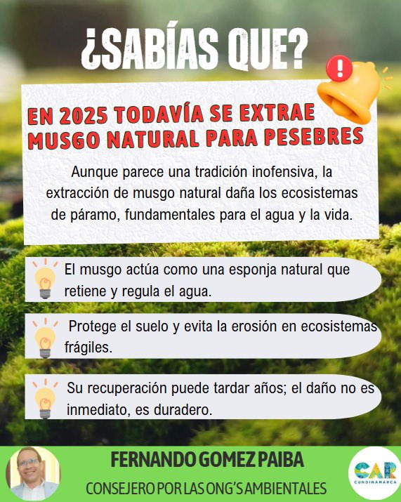 Fernando Gómez tweet media