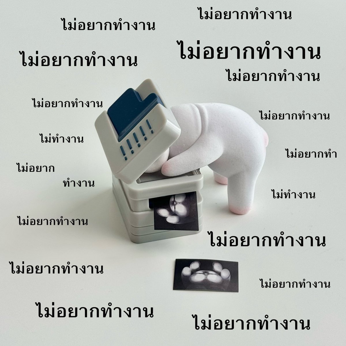 พรุ่งนี้วันจันทร์ 
กุ :