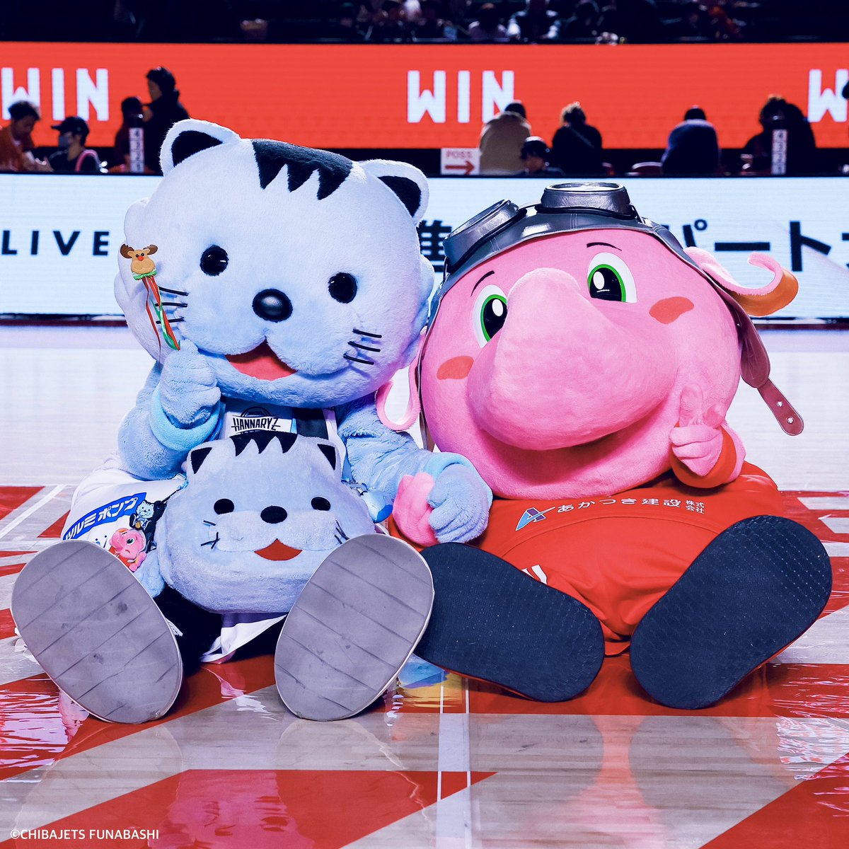 【限定品】ジャンボジャンボくん➕初期ユニジャンボくん　千葉ジェッツ フライトクルー】ジャンボくん＆RISUKE 契約継続のお知らせ | 千葉ジェッツ