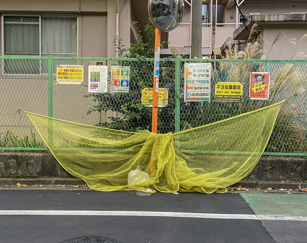 今まで見てきたゴミ捨場のネットの中で一番「魅せられて（ジュディ・オング）」かもしれない