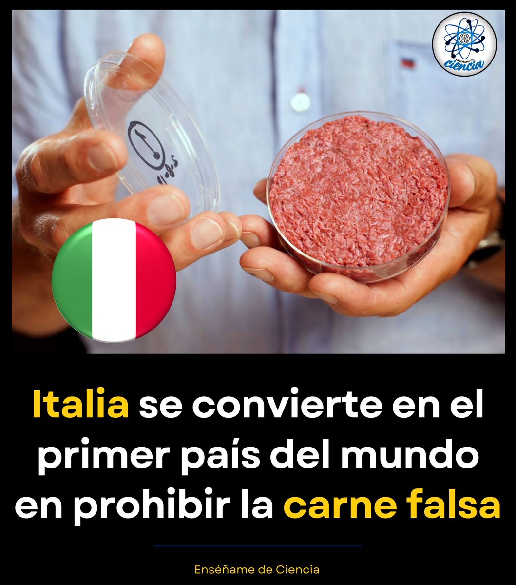 🍝🇮🇹 En medio de un debate global, Italia ha tomado una decisión histórica. El país aprobó una ley que prohíbe la producción y comercialización de carne cultivada en laboratorio dentro de su territorio.

⚖️ El gobierno italiano argumenta que busca proteger su patrimonio