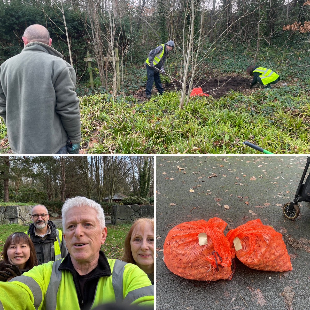 Thanks to the Sunday crew - Steve, SteveM, Chi, Penny, Matt and Bridget- hundreds more bulbs planted! Happy Christmas to all our volunteers and supporters Christmas 🎅 🎄 . Thanks to Helen for the latest bulbs.#FestivalGardens <a href="/lpoolcouncil/">Liverpool City Council</a>