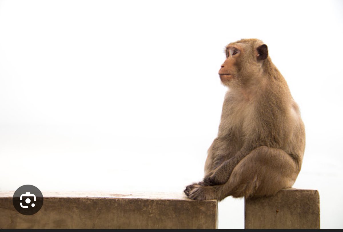 junq1e's tweet image. şu şekil bekliyorum