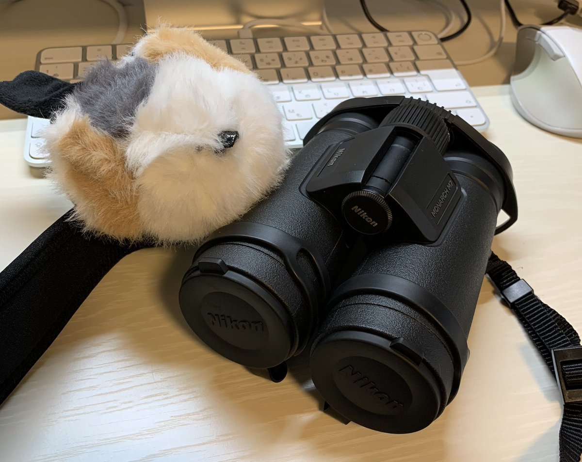 MONARCH M7買っちゃった！鳥のお尻までよく見えるぞ！　隣のぽさぽさはシマエナガの「もけ玉ちゃん」です🐤