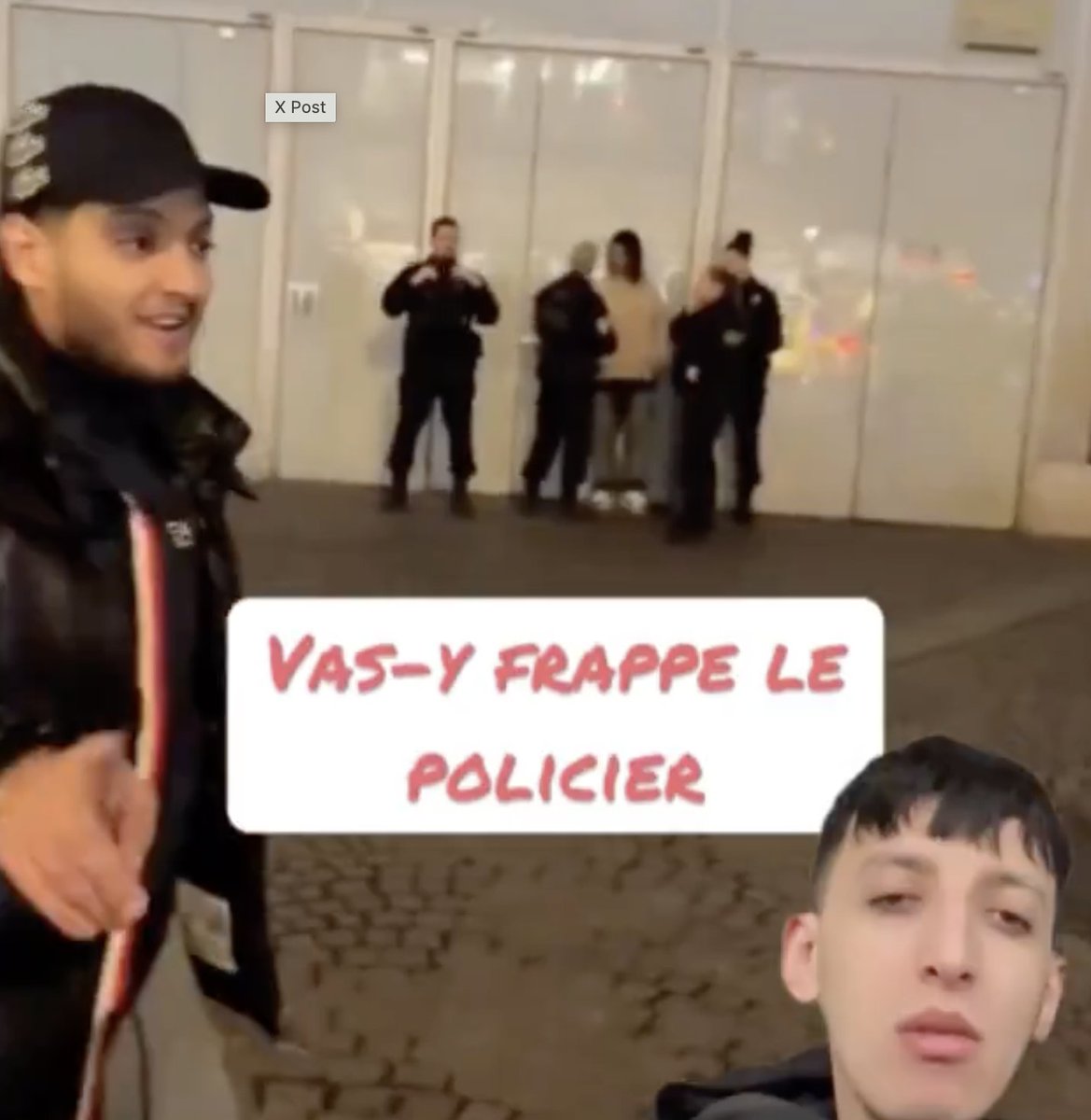 Cerfia tweet media