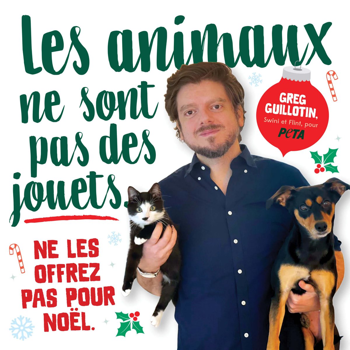 On le rappellera jusqu'à Noël : les animaux ne sont pas des jouets, on ne les offre pas en cadeau !

Merci à <a href="/GregGuillotin/">Greg Guillotin</a> pour cette belle campagne. ✨