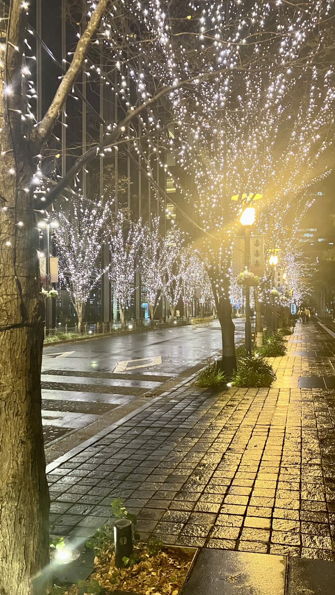 のっち®︎ (@nottibon) / Posts / X