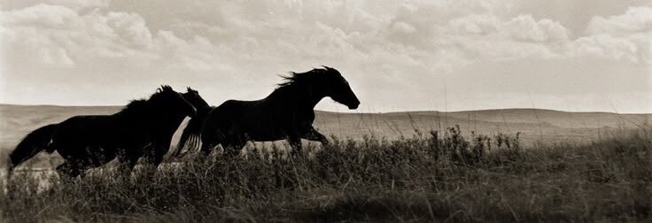 “İnsan, kaderiyle, kaderinden kaçmak için saptığı yolda karşılaşır.”