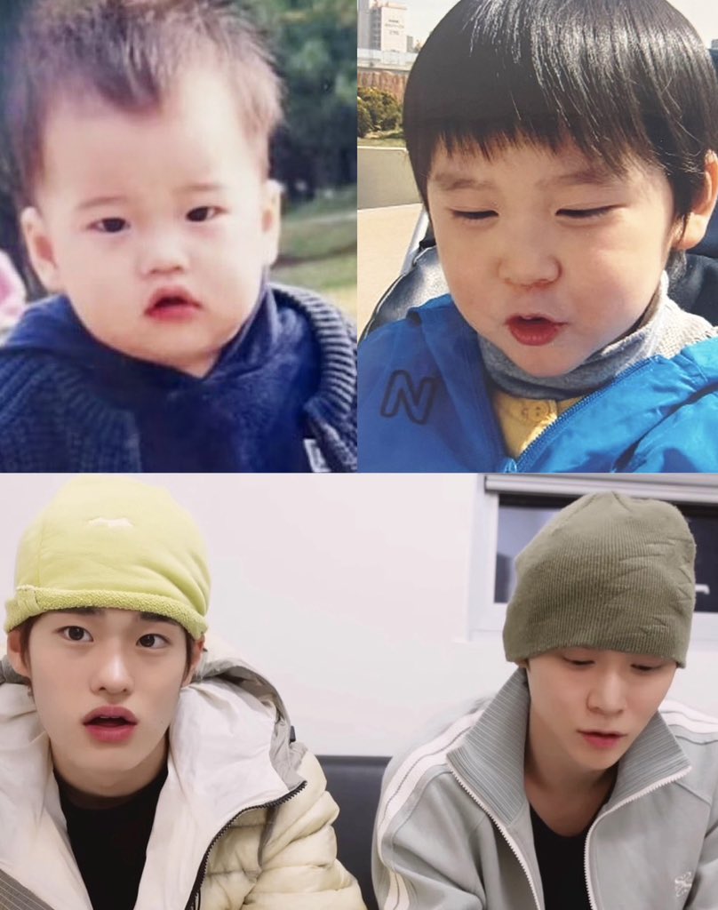 ⋆ Pekkle ꩜.ᐟ tweet media