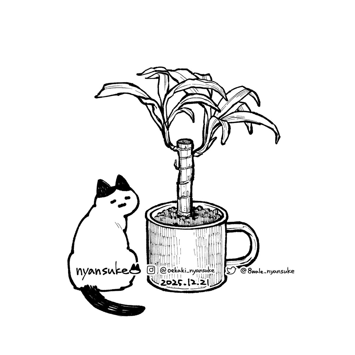 Post by にゃんすけ on X: 🐱🌱