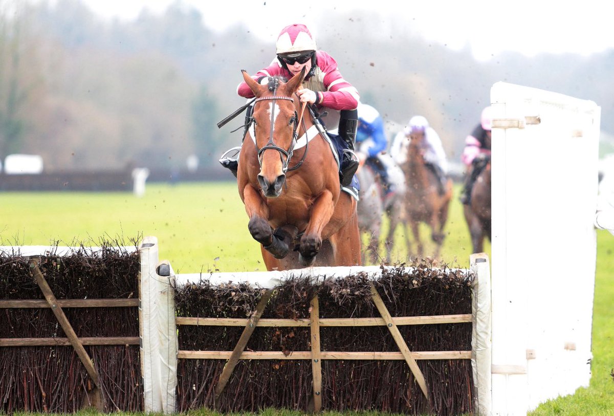 LingfieldPark's tweet photo. The Free Tips Daily On https://t.co/3NjJLNJQaA EBF Junior 'National Hunt' Hurdle (Class 4) (GBB Race) 

🥇Aqua Bleu

🥈Network Gold

🥉Majeur Allen

Winning Jockey: @james_bowen_ 
Winning Trainer: @wgreatrexracing 
Winning Owner: Jim and Claire Limited https://t.co/Z3Ve49xgBj
