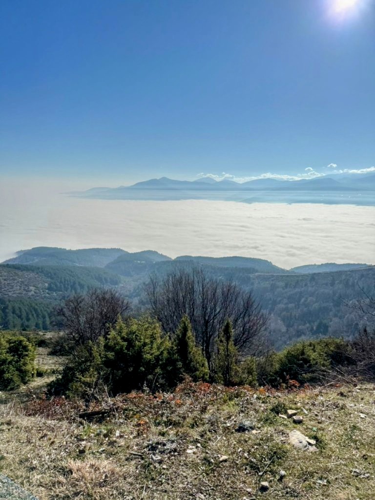 Рејмонд Редингтон tweet media