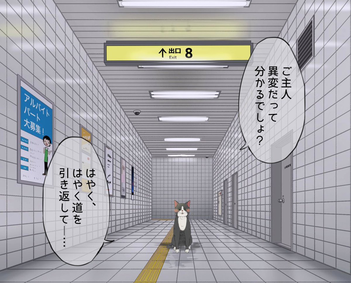 ┃v┃｡)ﾆﾞﾖﾞｰ~~~~