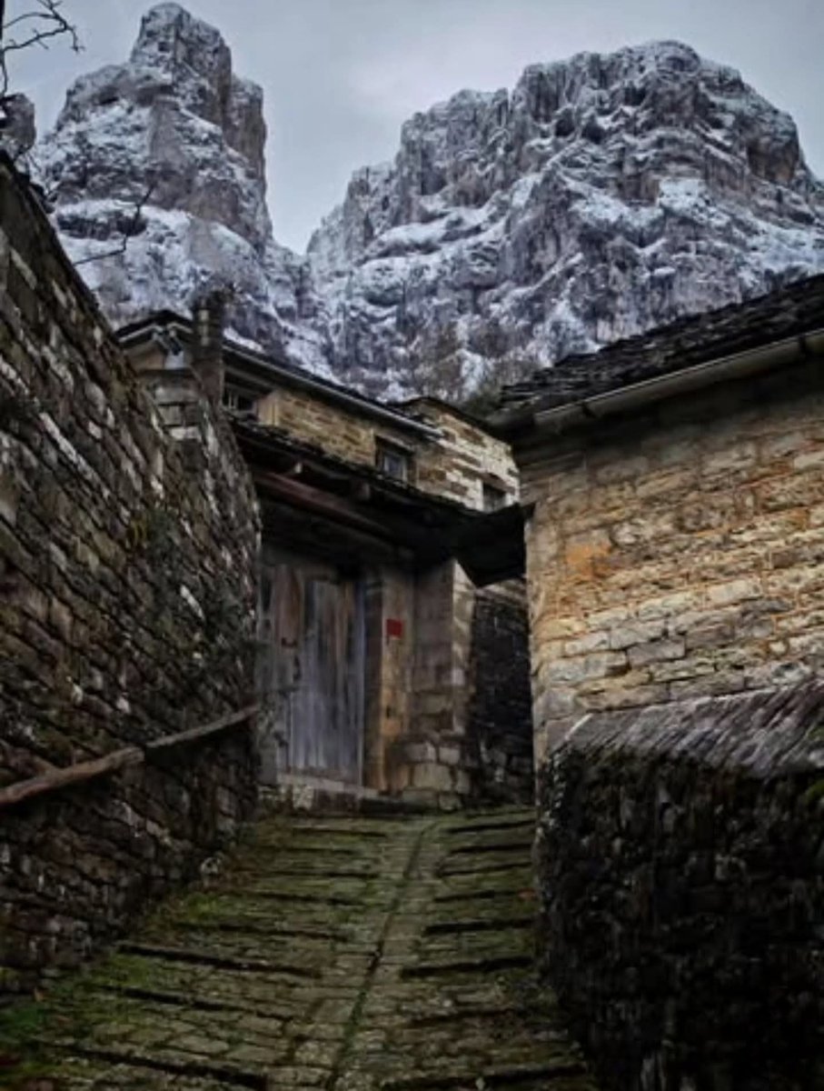 Μικρό Πάπιγκο 
📷<a href="/t_greek/">Greek_t</a>