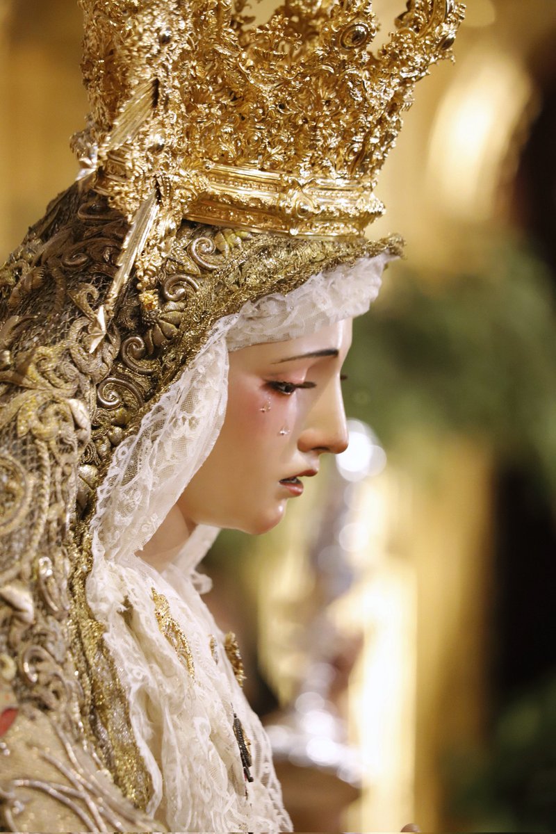 Trinitaria. Esperanza. 
<a href="/Hdad_Trinidad/">Hermandad de la Trinidad (OFICIAL)</a>