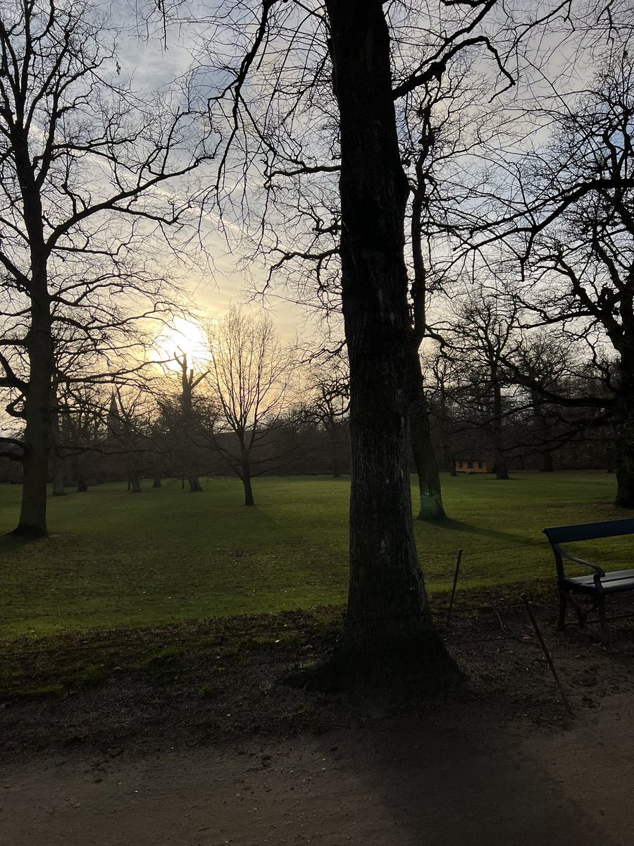 Alkem1st🇩🇰 - Buying skins tweet media