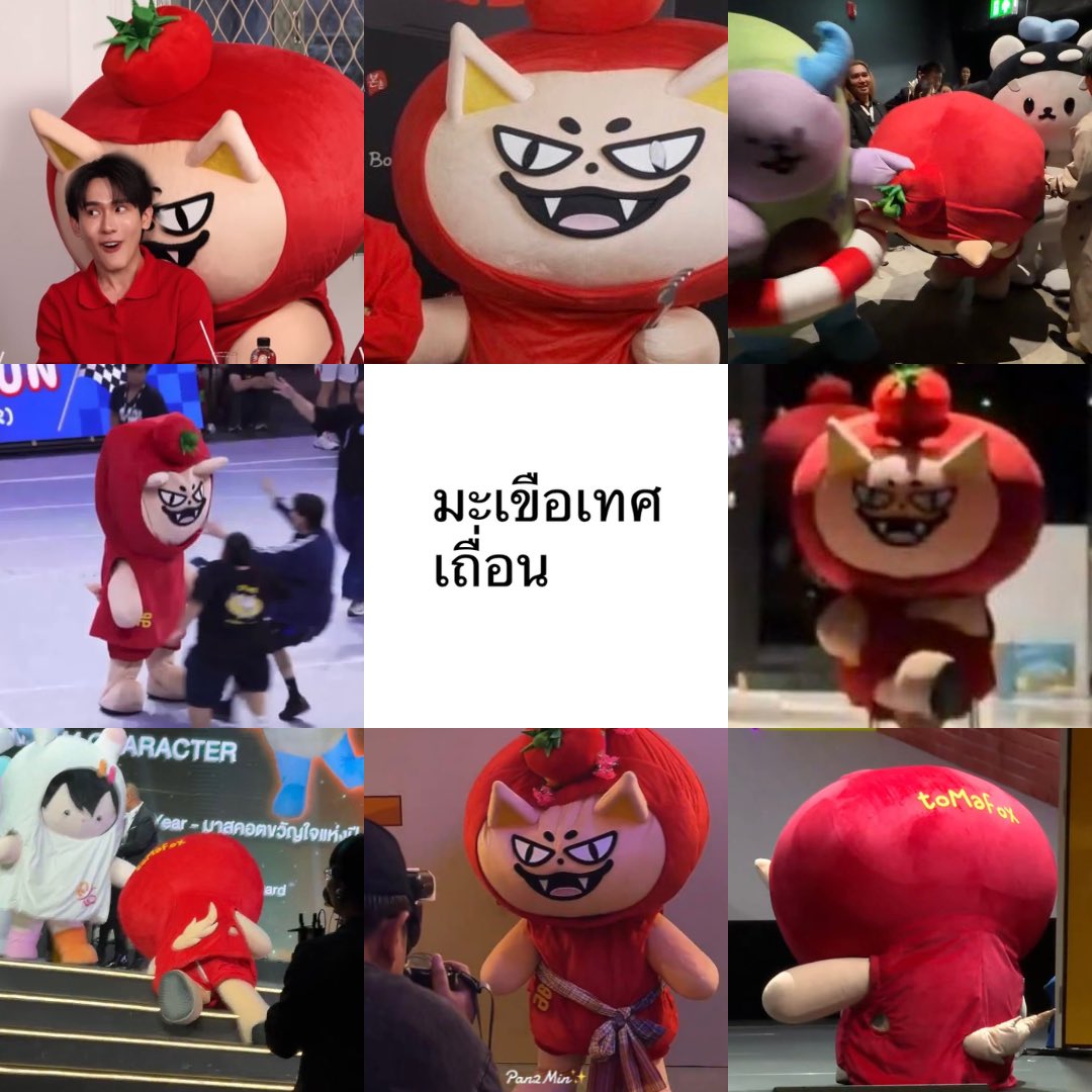 มะเขือเทศเถื่อนไปนู่นไป