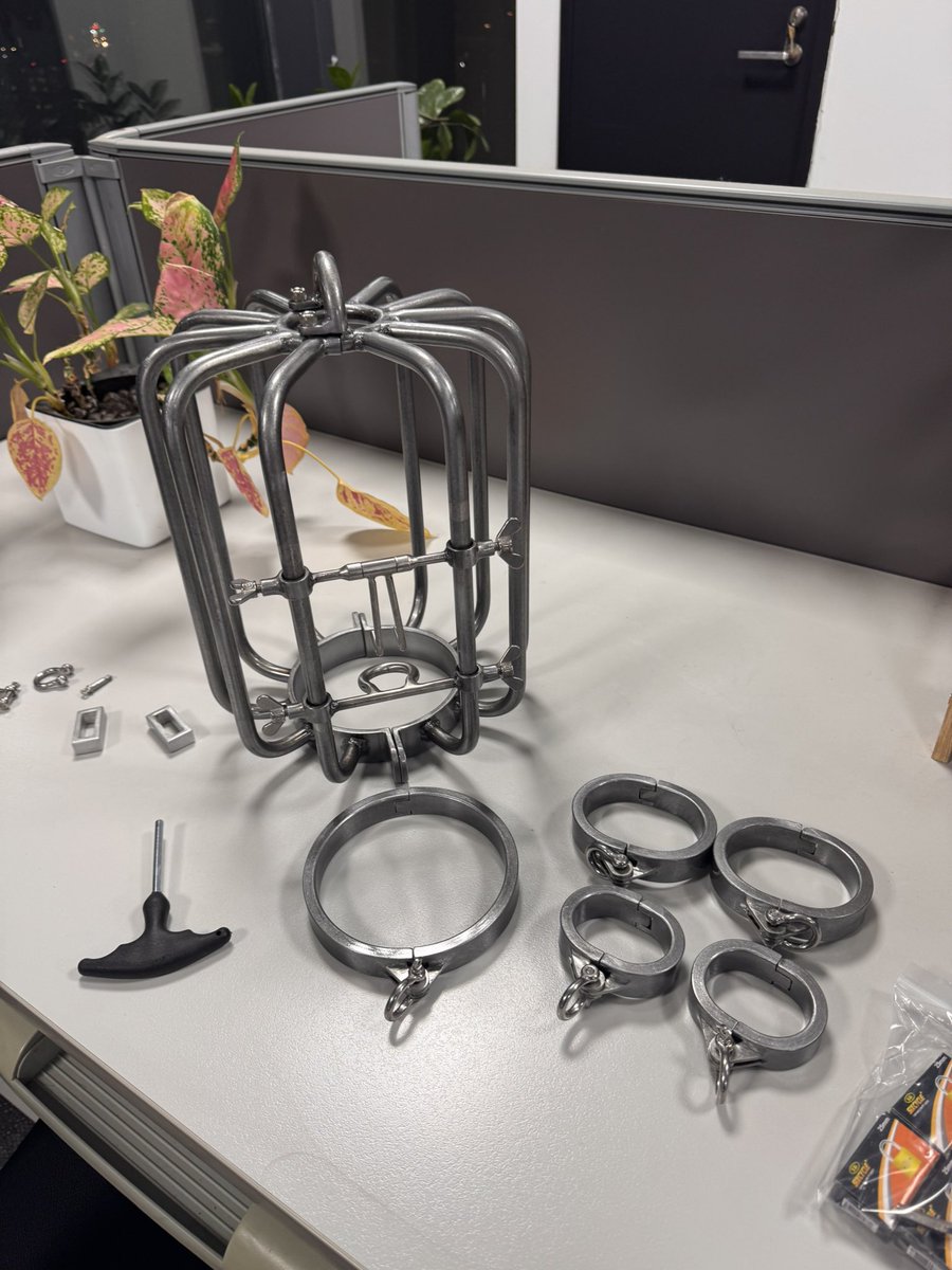 tortureequipment（kikoYang） tweet media