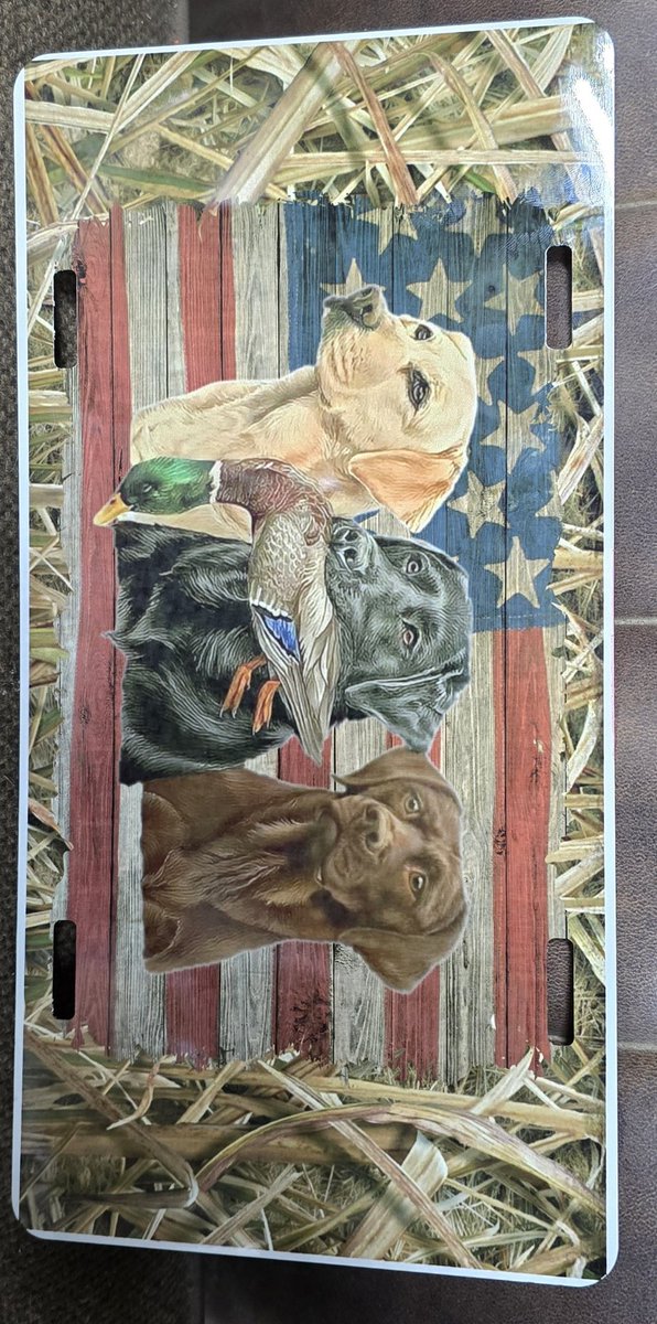 adkisson69's tweet image. Custom design License plates for sale. Prices are $15.00 a piece plus shipping.