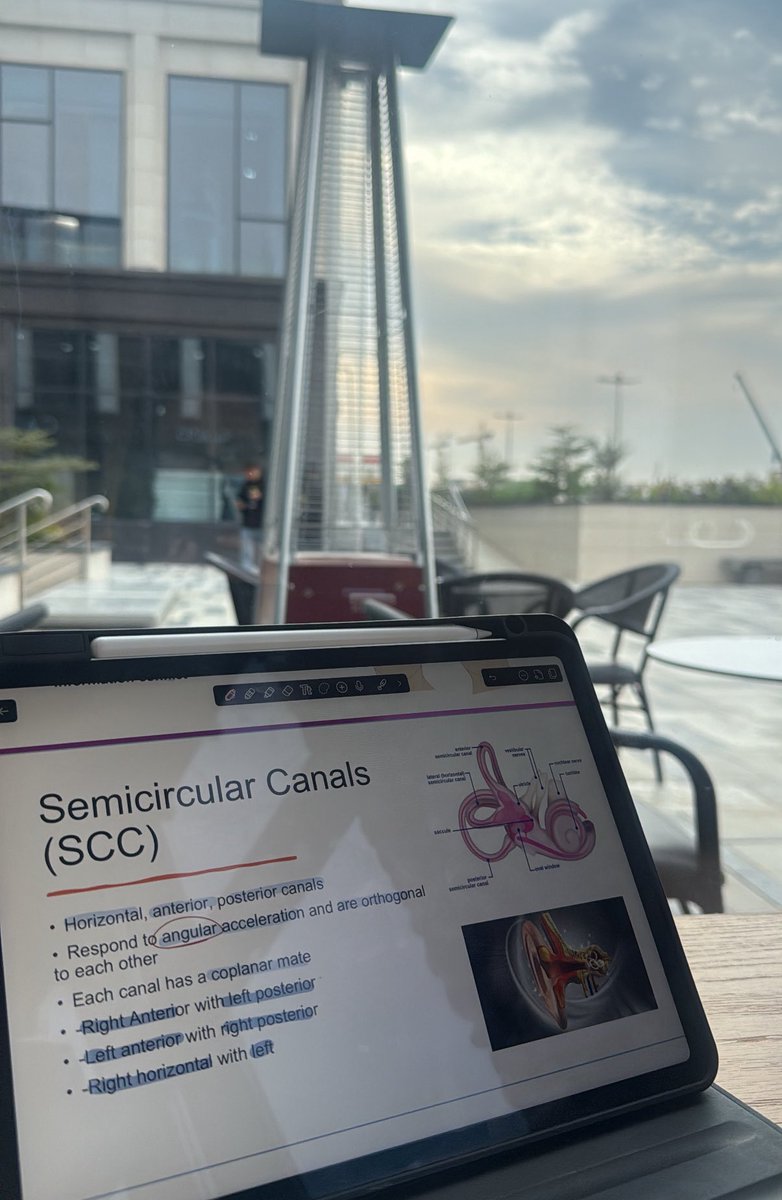 SmaherAd's tweet image. Finals season 🪫🪫🪫